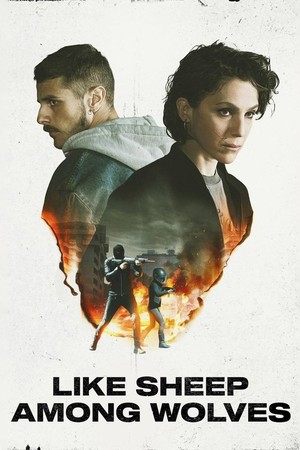 Bo'rilar orasidagi qo'y kabi