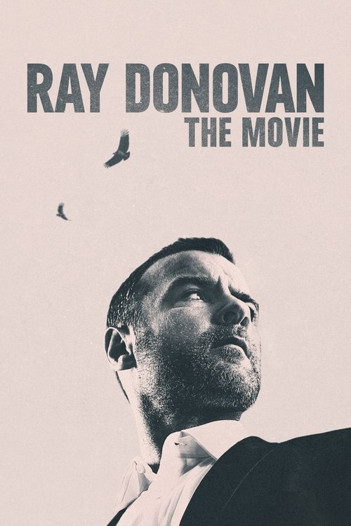Rey Donovan: Film